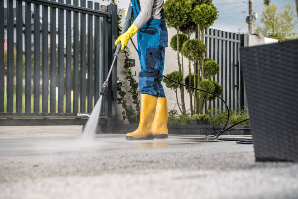 Professional Pressure Washing in Zephyrhills South, FL