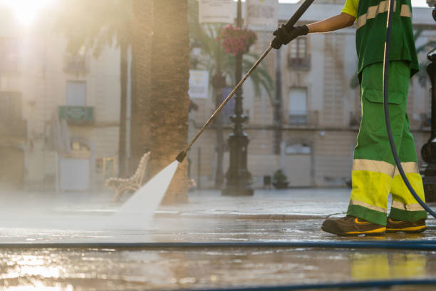 Best Local Pressure Washing Services  in Zephyrhills South, FL