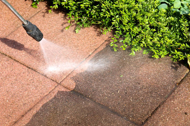 Best Pressure Washing Brick  in Zephyrhills South, FL